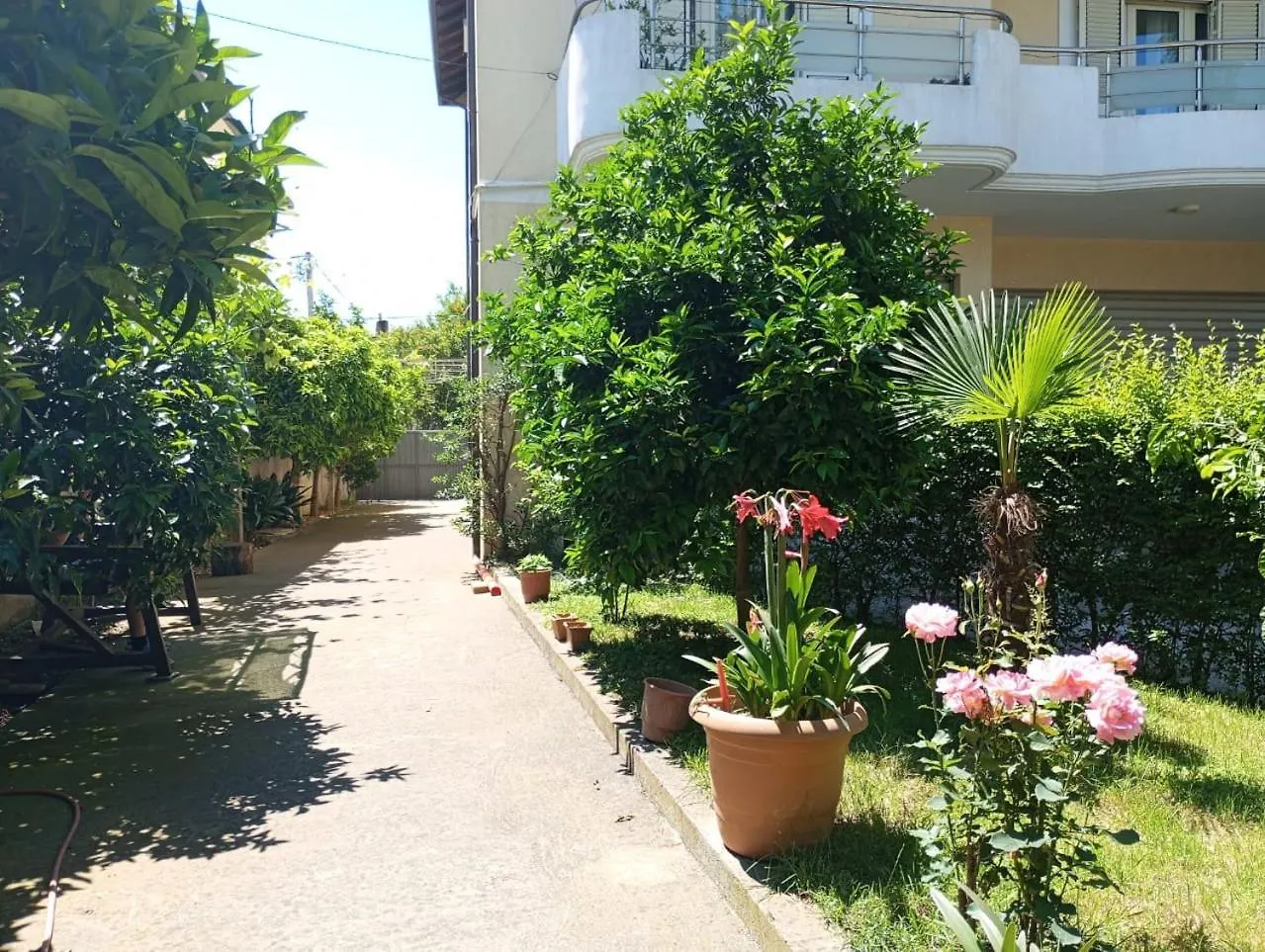 Semesterbostad Serenity'S Sunset Terrace Shkodër Albanien