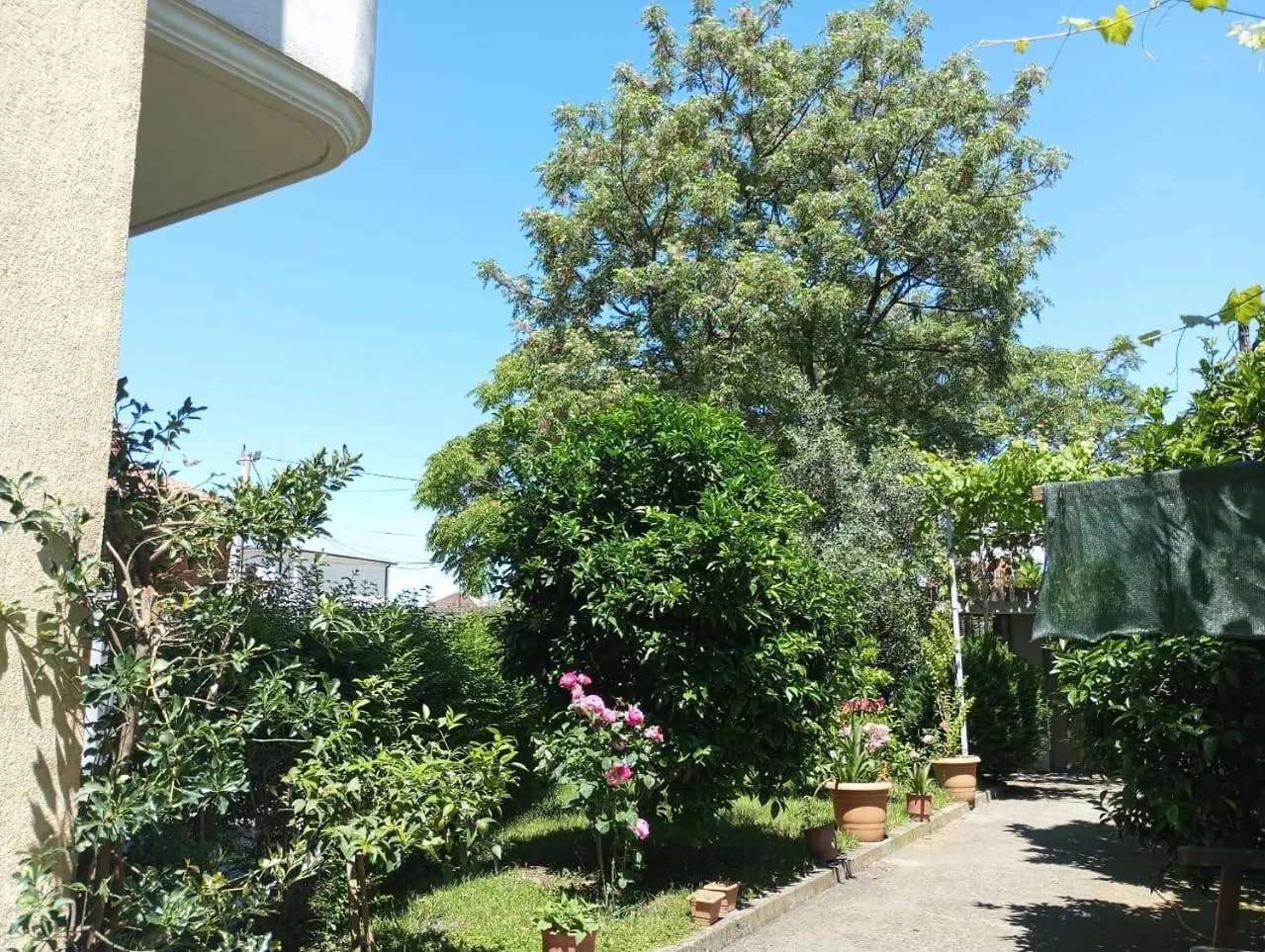 Serenity'S Sunset Terrace Shkodër